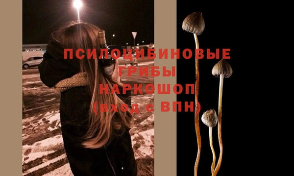 герыч Абинск