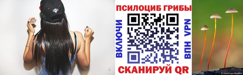 Галлюциногенные грибы Psilocybe  OMG   Правдинск 